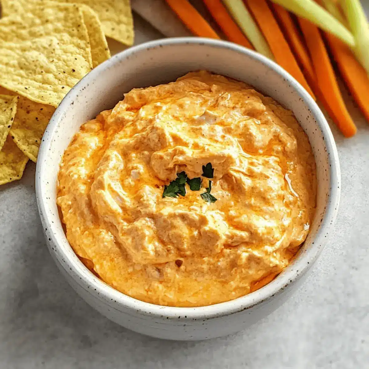 Crock Pot Buffalo Chicken Dip u8q4l9