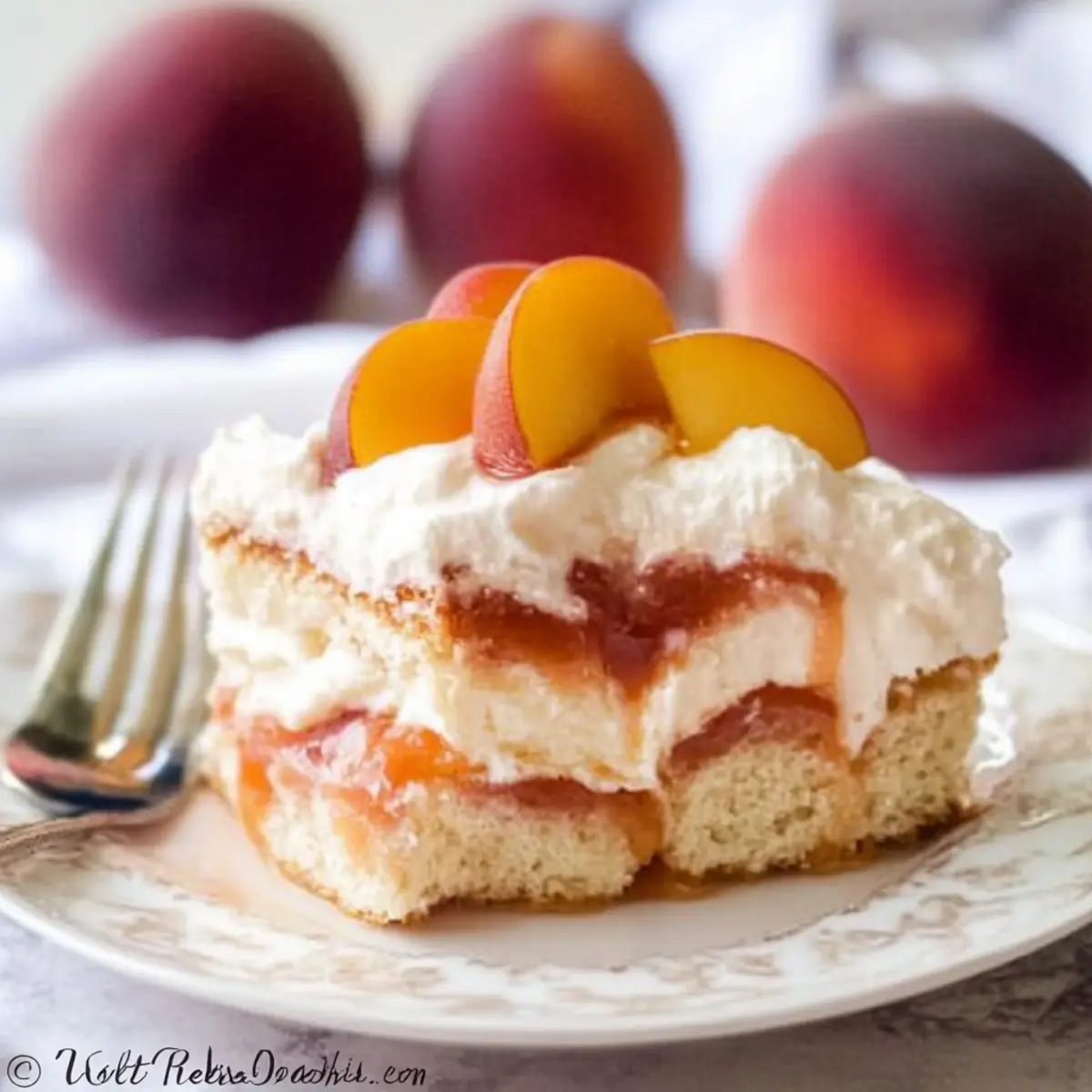 215f996d d24b 469a 8f73 1d0b3fdf0be3bl hq0f5o